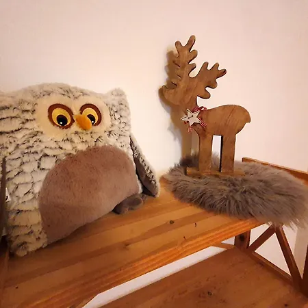 Apartment Haus Sonnenblick Benneckenstein